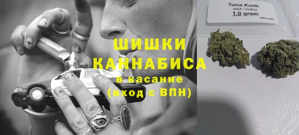 каннабис Майский