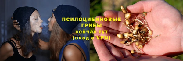 каннабис Майский
