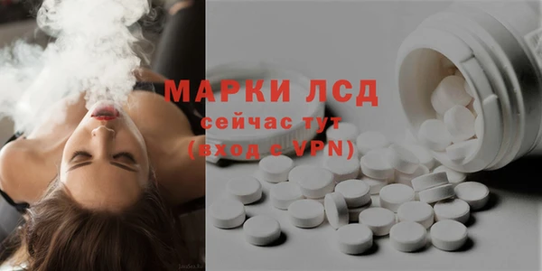 ГАЛЛЮЦИНОГЕННЫЕ ГРИБЫ Магадан
