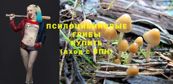 каннабис Майский