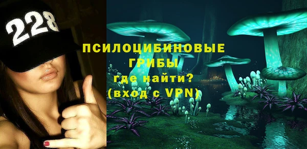 ГАЛЛЮЦИНОГЕННЫЕ ГРИБЫ Магадан