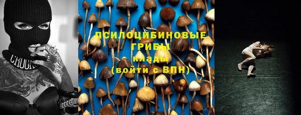 каннабис Майский