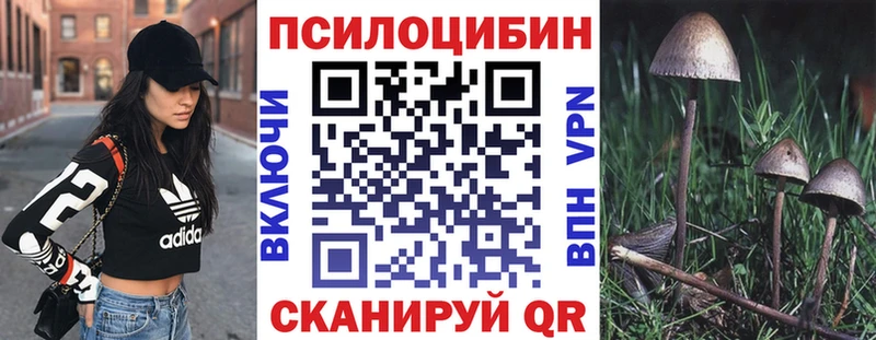 блэк спрут маркетплейс  наркошоп  Осташков  Галлюциногенные грибы Cubensis 